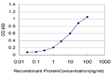 THOC6 Antibody - Detection limit for recombinant GST tagged WDR58 is approximately 0.3 ng/ml as a capture antibody.