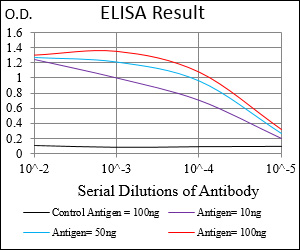 THY1 / CD90 Antibody - Red: Control Antigen (100ng); Purple: Antigen (10ng); Green: Antigen (50ng); Blue: Antigen (100ng);