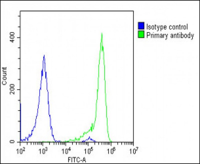 TIRC7 / TCIRG1 Antibody - Overlay histogram showing U-2 OS cells stained with TCIRG1 Antibody (C-Term) (green line). The cells were fixed with 2% paraformaldehyde (10 min) and then permeabilized with 90% methanol for 10 min. The cells were then icubated in 2% bovine serum albumin to block non-specific protein-protein interactions followed by the antibody (TCIRG1 Antibody (C-Term), 1:25 dilution) for 60 min at 37°C. The secondary antibody used was Goat-Anti-Rabbit IgG, DyLight® 488 Conjugated Highly Cross-Adsorbed (OE188374) at 1/200 dilution for 40 min at 37°C. Isotype control antibody (blue line) was rabbit IgG1 (1µg/1x10^6 cells) used under the same conditions. Acquisition of >10, 000 events was performed.