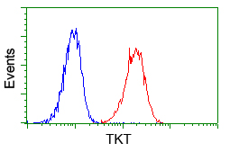 TKT / Transketolase Antibody - Flow cytometry of Jurkat cells, using anti-TKT antibody, (Red) compared to a nonspecific negative control antibody (Blue).