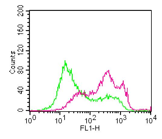 TLR3 Antibody - Fig-2: Intracellular flow analysis of mTLR3 in m Splenocytes using 0.5 µg/10^6 cells of mTLR3 antibody. Green represents isotype control; red represents anti-mTLR3 antibody. Goat anti-Rat FITC conjugate was used as secondary antibody.