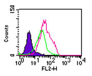 TLR5 Antibody - Intracellular flow analysis of TLR5 in Balb/c mouse splenocytes using TLR5 antibody at 2 ug/10^6 cells.  Shaded histogram represents cells without antibody; green represents rabbit IgG isotype control; red represents TLR5 antibody. Goat anti-rabbit PE was used as the secondary antibody.