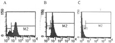 TLR7 / CD287 Antibody - Intracellular staining by FACS analysis of TLR7 in Ramos cells (A) and Raw cells (B) using antibody at 2 ug/ml. Histogram C shows the rabbit IgG isotype control .