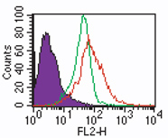 TLR7 / CD287 Antibody - Intracellular staining by FACS analysis of TLR7 in human PBMCs using TLR7 Antibody at 2 ug/ml. Shaded histogram represents cells alone; green represents rabbit IgG isotype control, ; red represents anti-TLR7 antibody. Goat anti-rabbit PE, was used as secondary.