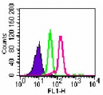 TLR9 Antibody - Intracellular flow analysis of TLR9 in Ramos cells using 0.1 ug of antibody. Shaded histogram represents Ramos cells without antibody; green represents isotype control; red represents anti-TLR9 antibody.