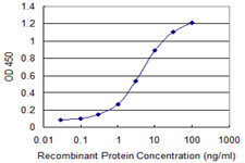 TOMM22 / TOM22 Antibody - Detection limit for recombinant GST tagged TOMM22 is 0.1 ng/ml as a capture antibody.