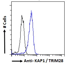 TRIM28 / KAP1 Antibody - TRIM28 / KAP1 antibody flow cytometric analysis of paraformaldehyde fixed HeLa cells (blue line), permeabilized with 0.5% Triton. Primary incubation 1hr (10ug/ml) followed by Alexa Fluor 488 secondary antibody (2ug/ml). IgG control: Unimmunized goat IgG (black line) followed by Alexa Fluor 488 secondary antibody.