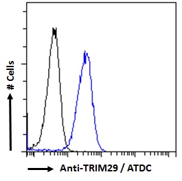 TRIM29 Antibody - TRIM29 / ATDC antibody flow cytometric analysis of paraformaldehyde fixed A431 cells (blue line), permeabilized with 0.5% Triton. Primary incubation 1hr (10ug/ml) followed by Alexa Fluor 488 secondary antibody (2ug/ml). IgG control: Unimmunized goat IgG (black line) followed by Alexa Fluor 488 secondary antibody.