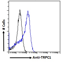 TRPC1 Antibody - TRPC1 antibody flow cytometric analysis of paraformaldehyde fixed Jurkat cells (blue line), permeabilized with 0.5% Triton. Primary incubation 1hr (10ug/ml) followed by Alexa Fluor 488 secondary antibody (2ug/ml). IgG control: Unimmunized goat IgG (black line) followed by Alexa Fluor 488 secondary antibody.