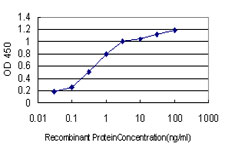 TSC22D3 / GILZ Antibody - Detection limit for recombinant GST tagged TSC22D3 is approximately 0.03 ng/ml as a capture antibody.