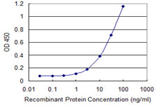 TSG / TWSG1 Antibody - Detection limit for recombinant GST tagged TWSG1 is 0.3 ng/ml as a capture antibody.