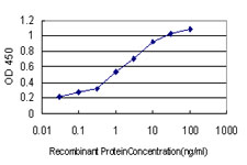 TSG101 Antibody - Detection limit for recombinant GST tagged TSG101 is approximately 0.03 ng/ml as a capture antibody.