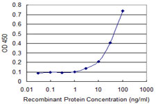 TUBA3C / Tubulin Alpha 3C Antibody - Detection limit for recombinant GST tagged TUBA2 is approximately 0.03 ng/ml as a capture antibody.