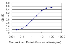 TXN / Thioredoxin / TRX Antibody - Detection limit for recombinant GST tagged TXN is approximately 0.03 ng/ml as a capture antibody.