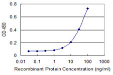 UBE1L2 / UBE1L2 Antibody - Detection limit for recombinant GST tagged UBA6 is 1 ng/ml as a capture antibody.