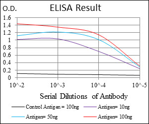 UBE2I / UBC9 Antibody - Red: Control Antigen (100ng); Purple: Antigen (10ng); Green: Antigen (50ng); Blue: Antigen (100ng);