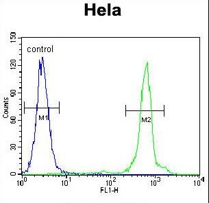 UQCRFS1 Antibody - UQCRFS1 Antibody flow cytometry of HeLa cells (right histogram) compared to a negative control cell (left histogram). FITC-conjugated goat-anti-rabbit secondary antibodies were used for the analysis.