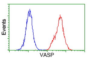 VASP Antibody - Flow cytometry of Jurkat cells, using anti-VASP antibody (Red), compared to a nonspecific negative control antibody (Blue).