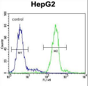 VDAC1 / PORIN Antibody - VDAC1 Antibody flow cytometry of HepG2 cells (right histogram) compared to a negative control cell (left histogram). FITC-conjugated goat-anti-rabbit secondary antibodies were used for the analysis.