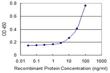 VDAC1 / PORIN Antibody - Detection limit for recombinant GST tagged VDAC1 is 3 ng/ml as a capture antibody.
