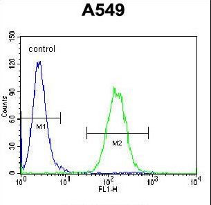 Vimentin Antibody - Vimentin Antibody flow cytometry of A549 cells (right histogram) compared to a negative control cell (left histogram). Alexa Fluor 488-conjugated donkey anti-rabbit lgG secondary antibodies were used for the analysis.