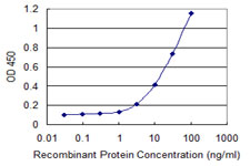 VNN1 Antibody - Detection limit for recombinant GST tagged VNN1 is 1 ng/ml as a capture antibody.