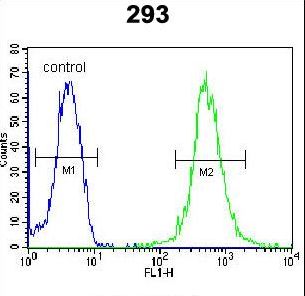 WDR48 Antibody - WDR48 Antibody flow cytometry of 293 cells (right histogram) compared to a negative control cell (left histogram). FITC-conjugated goat-anti-rabbit secondary antibodies were used for the analysis.