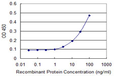 WDR77 / MEP50 Antibody - Detection limit for recombinant GST tagged WDR77 is approximately 3 ng/ml as a capture antibody.