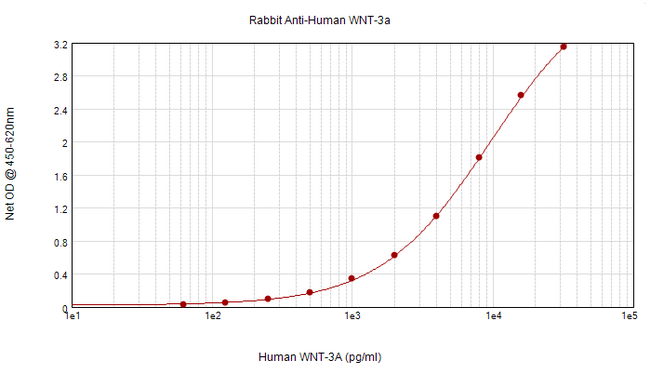 WNT3A Antibody - Anti-Human Wnt-3a Sandwich ELISA