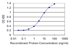 WTAP Antibody - Detection limit for recombinant GST tagged WTAP is 0.1 ng/ml as a capture antibody.