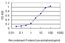XRCC6 / Ku70 Antibody - Detection limit for recombinant GST tagged XRCC6 is approximately 0.1 ng/ml as a capture antibody.