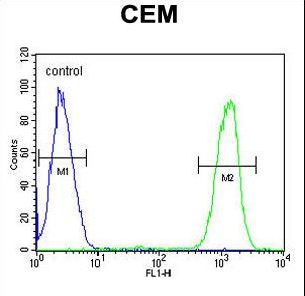 IKZF1 / IKAROS Antibody - IKZF1 Antibody flow cytometry of CEM cells (right histogram) compared to a negative control cell (left histogram). FITC-conjugated goat-anti-rabbit secondary antibodies were used for the analysis.