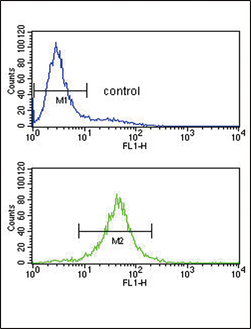 IL-10 Antibody - IL10 Antibody flow cytometry of Jurkat cells (bottom histogram) compared to a negative control cell (top histogram). FITC-conjugated goat-anti-rabbit secondary antibodies were used for the analysis.