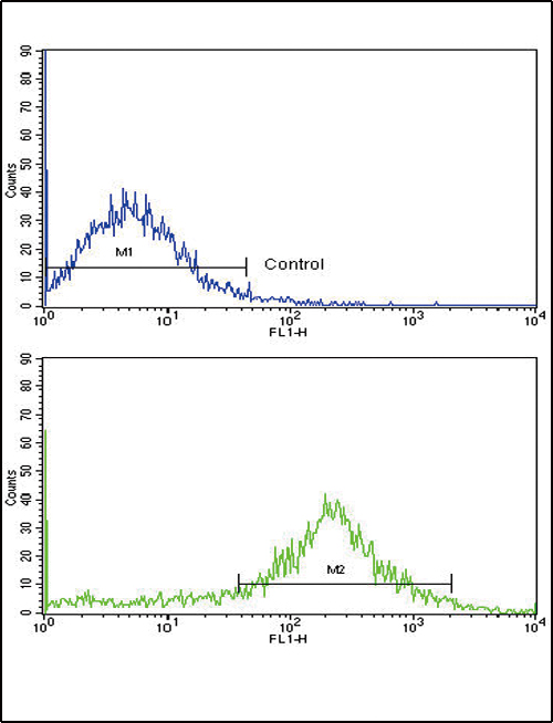 IL-1B / IL-1 Beta Antibody - Flow cytometric of NCI-H292 cells using IL1B Antibody (bottom histogram) compared to a negative control cell (top histogram). FITC-conjugated goat-anti-rabbit secondary antibodies were used for the analysis.