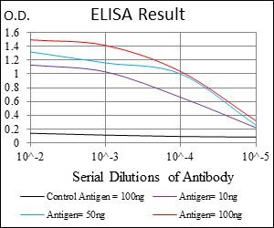 IL-1B / IL-1 Beta Antibody - Red: Control Antigen (100ng); Purple: Antigen (10ng); Green: Antigen (50ng); Blue: Antigen (100ng);