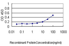 IL11RA Antibody - Detection limit for recombinant GST tagged IL11RA is approximately 0.3 ng/ml as a capture antibody.