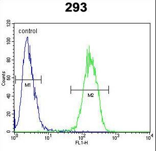 IL17F Antibody - IL17F Antibody flow cytometry of 293 cells (right histogram) compared to a negative control cell (left histogram). FITC-conjugated goat-anti-rabbit secondary antibodies were used for the analysis.
