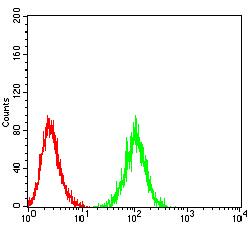IL17RA Antibody - Flow cytometric analysis of HL-60 cells using CD217 mouse mAb (green) and negative control (red).