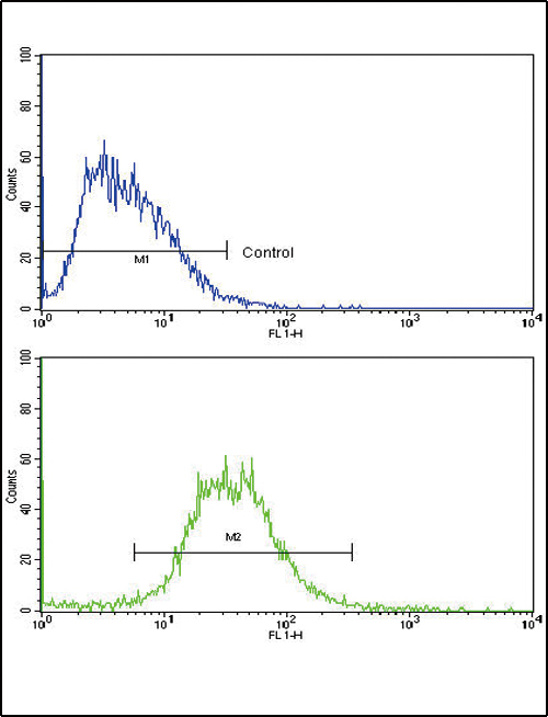 IL17RB Antibody - Flow cytometric of HepG2 cells using IL17RB Antibody (bottom histogram) compared to a negative control cell (top histogram). FITC-conjugated goat-anti-rabbit secondary antibodies were used for the analysis.