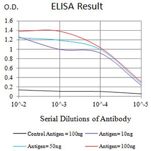 IL21 Receptor Antibody - Black line: Control Antigen (100 ng);Purple line: Antigen (10ng); Blue line: Antigen (50 ng); Red line:Antigen (100 ng)