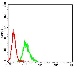 IL21 Receptor Antibody - Flow cytometric analysis of K562 cells using CD360 mouse mAb (green) and negative control (red).