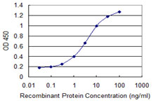 IL24 Antibody - Detection limit for recombinant GST tagged IL24 is 0.1 ng/ml as a capture antibody.