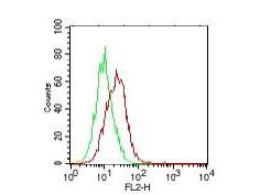 IL25 / IL17E Antibody - Flow Cytometry of Mouse anti-IL-17E antibody Cells: PC3 cells Primary antibody: 1 ug of IL-17E (red), control (green) Secondary antibody: anti-mouse IgG PE conjugated secondary antibody.