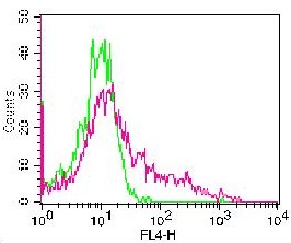 IL2RA / CD25 Antibody - Fig-1: Cell surface FLOW analysis of hCD25 in PHA treated human PBMC using 0.2 µg/10^6 cells. Green represents APC conjugated mouse IgG2a isotype control; red represents APC conjugated anti-hCD25 antibody (-AC).