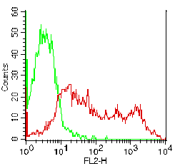 IL2RA / CD25 Antibody - Fig-1: Cell surface FLOW analysis of hCD25 in PHA treated human PBMC using 0.2µg/10^6 cells. Green represents PE conjugated mouse IgG2a isotype control; red represents anti-hCD25 antibody (-P).