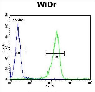 IL31 Antibody - IL31 Antibody flow cytometry of WiDr cells (right histogram) compared to a negative control cell (left histogram). FITC-conjugated goat-anti-rabbit secondary antibodies were used for the analysis.