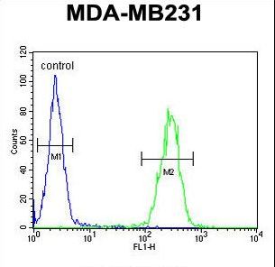 IL36A Antibody - IL1F6 Antibody flow cytometry of MDA-MB231 cells (right histogram) compared to a negative control cell (left histogram). FITC-conjugated goat-anti-rabbit secondary antibodies were used for the analysis.