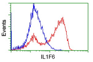 IL36A Antibody - HEK293T cells transfected with either overexpress plasmid (Red) or empty vector control plasmid (Blue) were immunostained by anti-IL1F6 antibody, and then analyzed by flow cytometry.