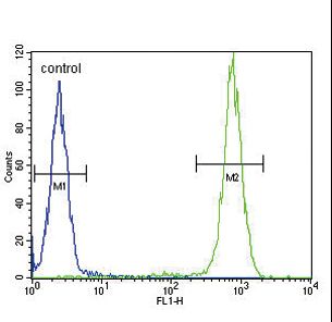 IL4 Antibody - IL4 Antibody flow cytometry of WiDr cells (right histogram) compared to a negative control cell (left histogram). FITC-conjugated goat-anti-rabbit secondary antibodies were used for the analysis.