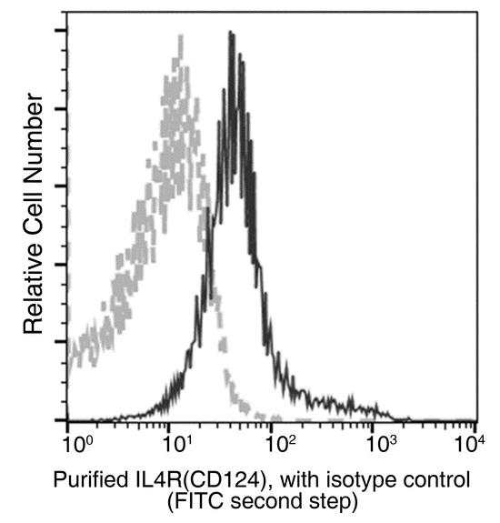 IL4R / CD124 Antibody - Flow cytometric analysis of rat IL4R(CD124) expression on SD rat splenocytes. Cells were stained with purified anti-rat IL4R(CD124), then a FITC-conjugated second step antibody. The fluorescence histograms were derived from gated events with the forward and side light-scatter characteristics of intact cells.
